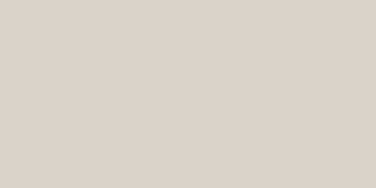 plain placeholder